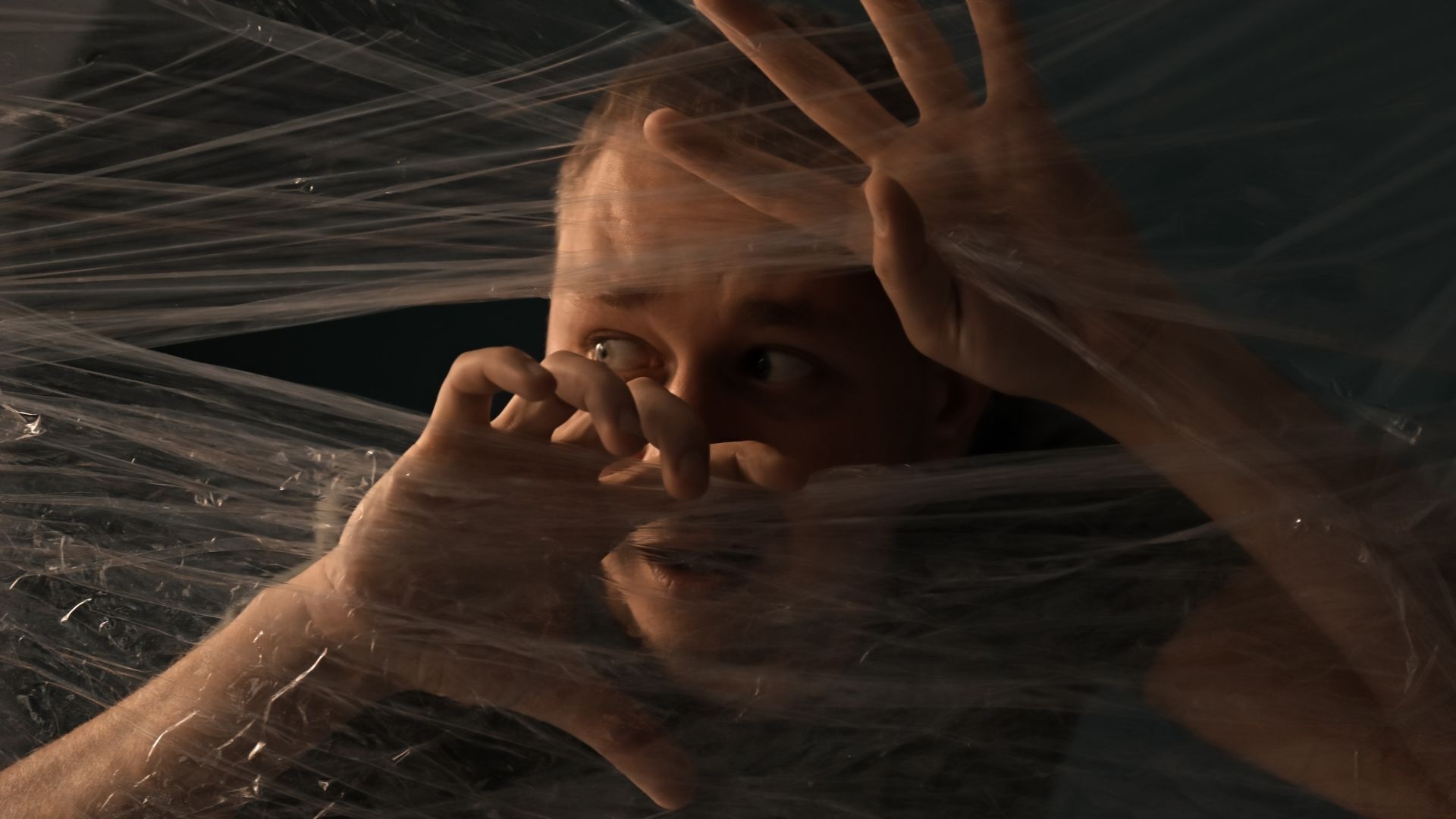 bpd-psychosis bpd-psychosis