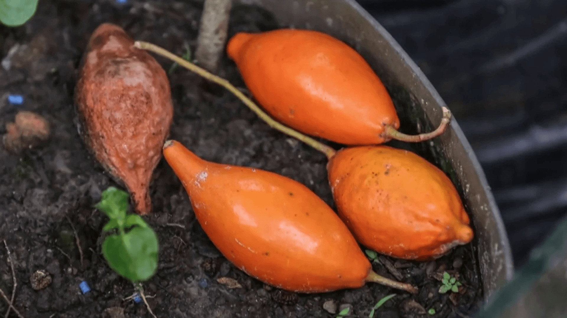 CleanShot 2025-04-24 at 09.31.56