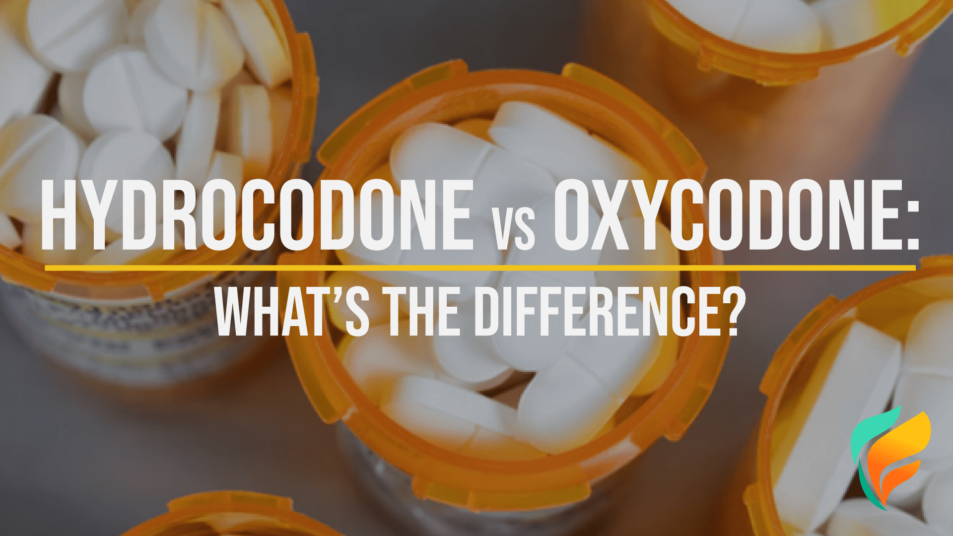 Hydrocodone vs. Oxycodone: Facts & Differences Between These Synthetic Opioids