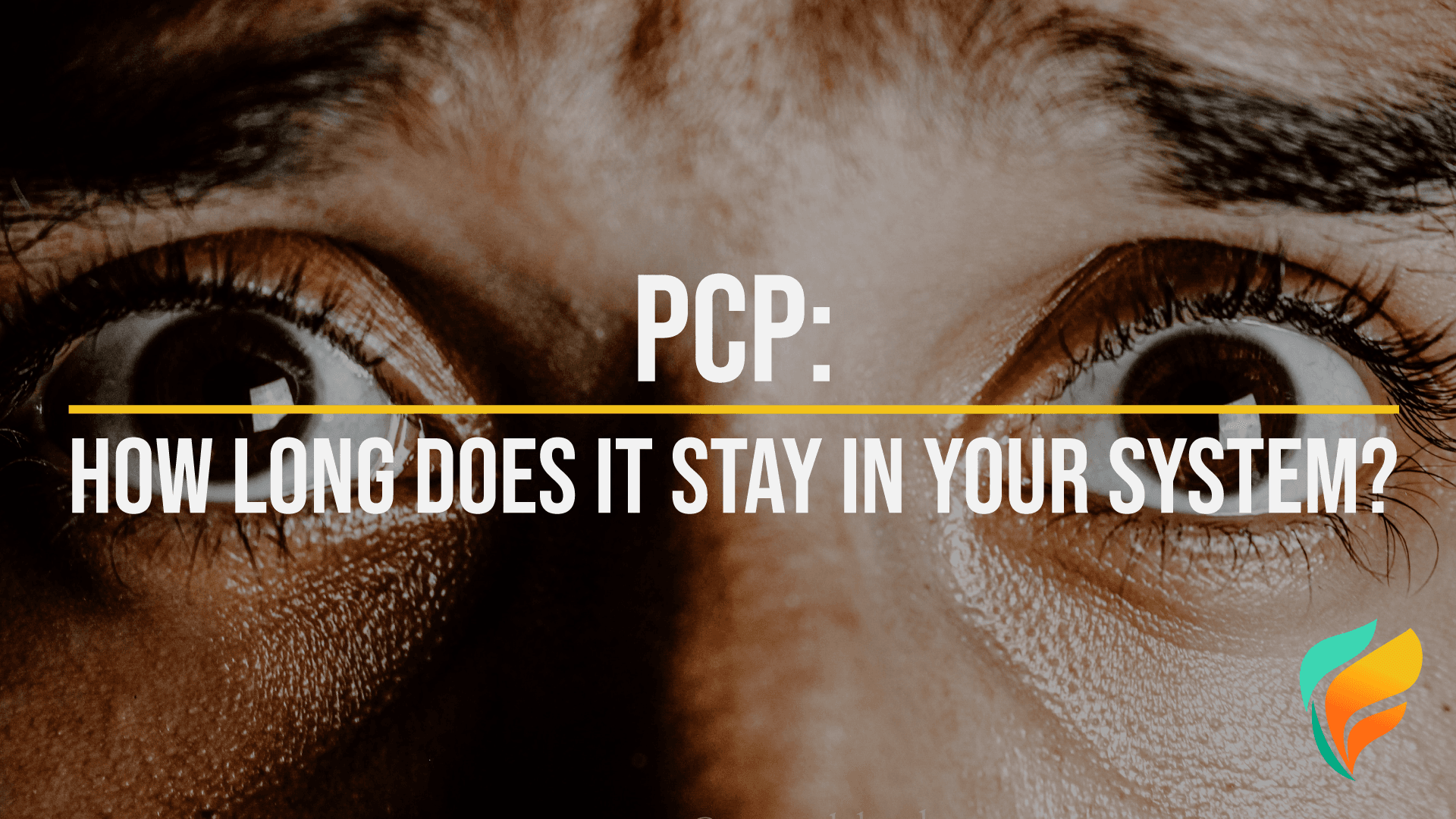 How Long Does PCP Stay In Your System?