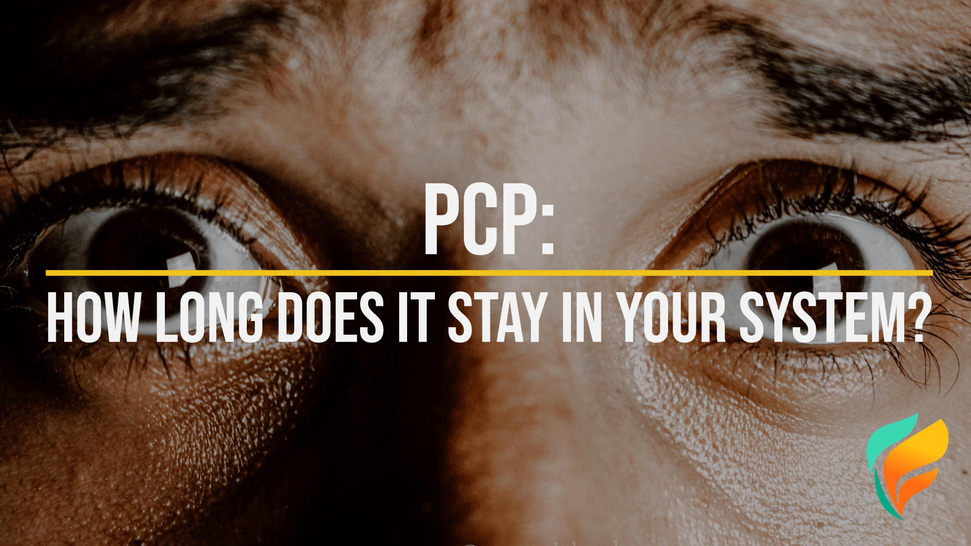 How Long Does PCP Stay In Your System? How Long Does PCP Stay In Your System?