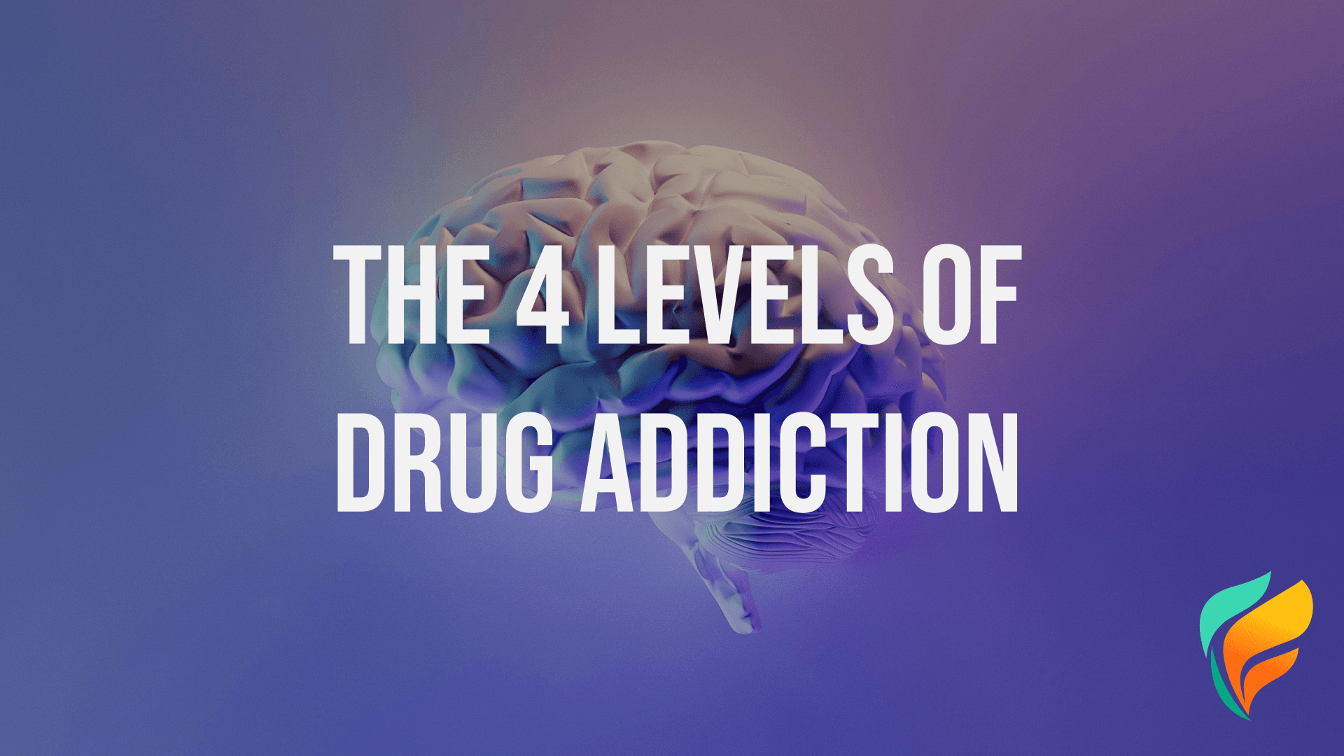 What are the 4 Levels of Drug Addiction?