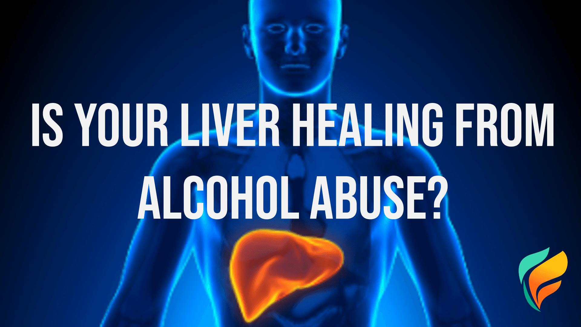 Is Your Liver Healing from Alcohol Abuse?