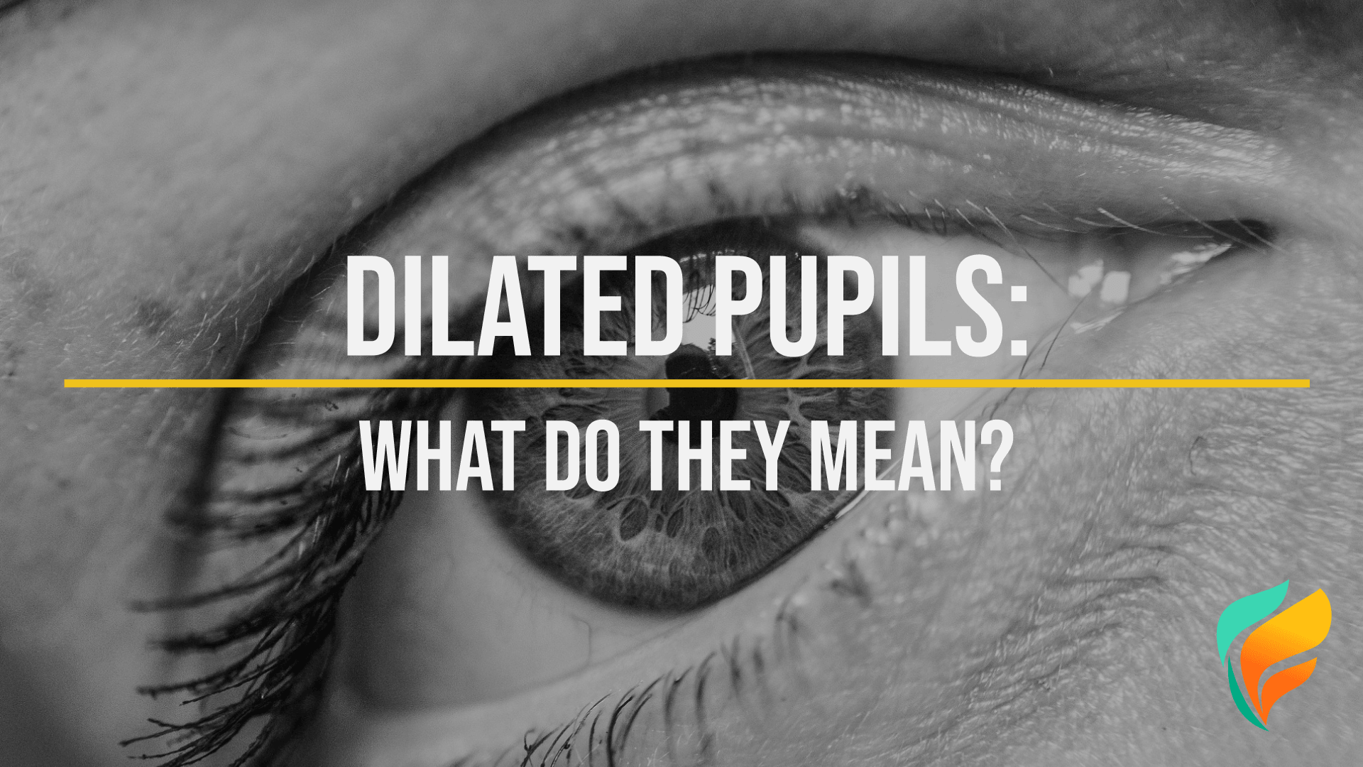 What Are Dilated Pupils? What Are Dilated Pupils?