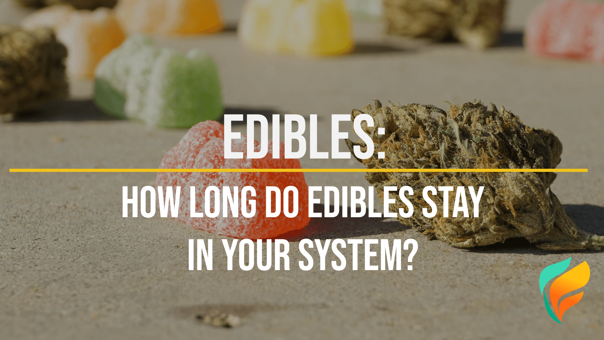 How Long Do Edibles Stay in Your System? So, how long do edibles stay in your system? Many factors determine the answer to this question.