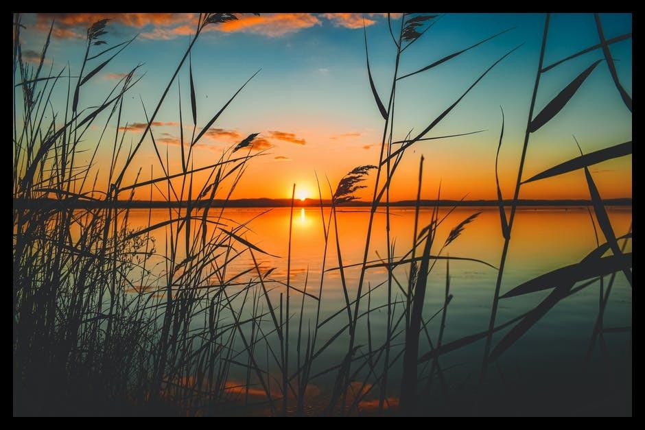 What Are the 4 Most Common Types of Substance Abuse?