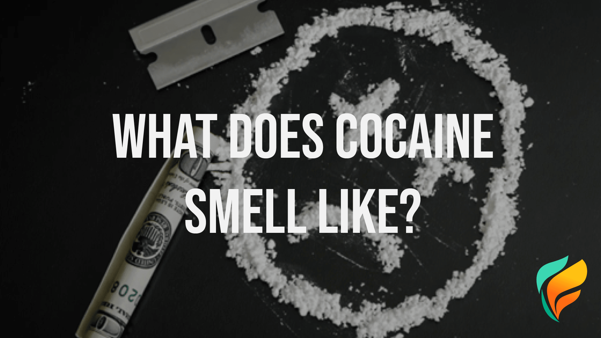 What Does Cocaine Smell Like? What Does Cocaine Smell Like?