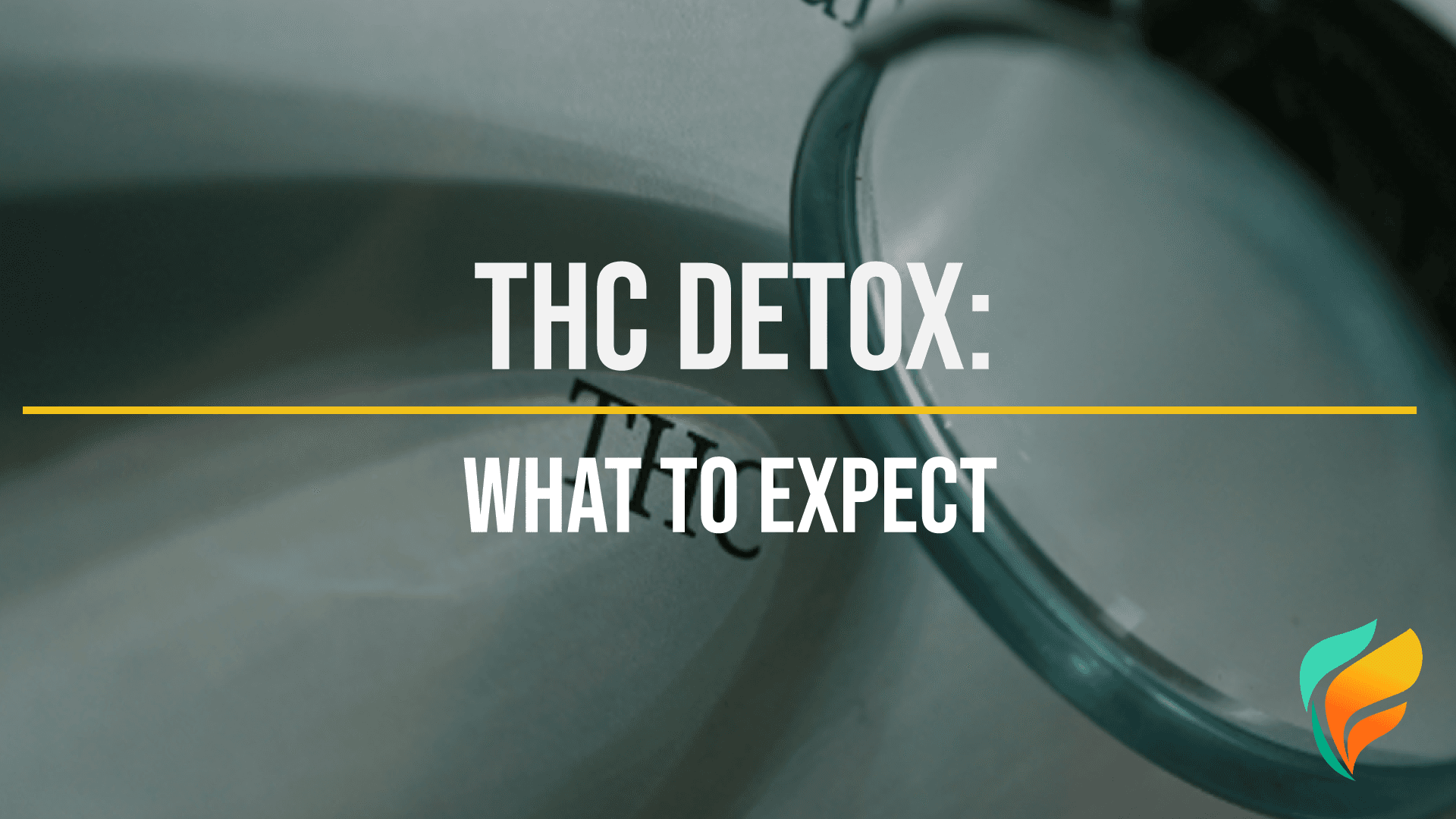 THC Detox: What is it Like?