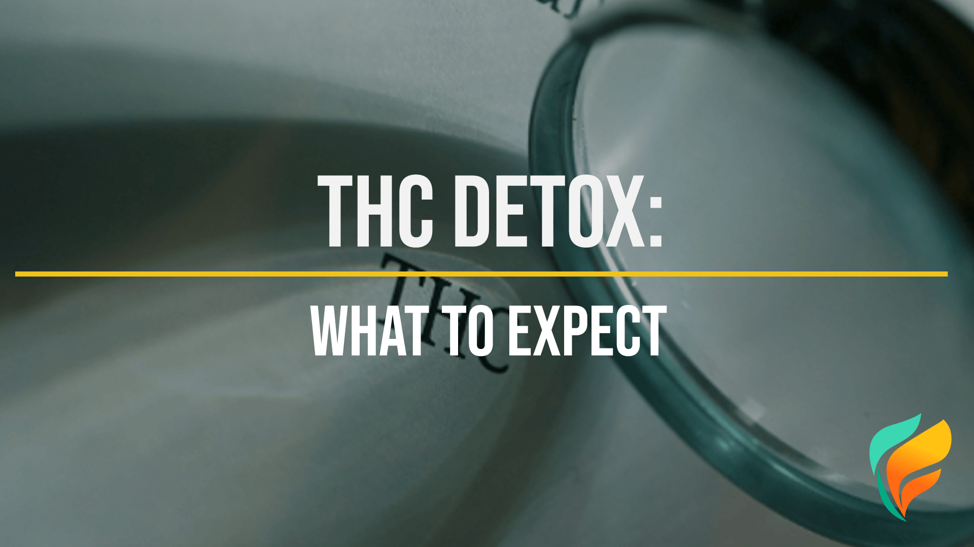 THC Detox: What is it Like? THC detox is often the first step to recovery from marijuana addiction.